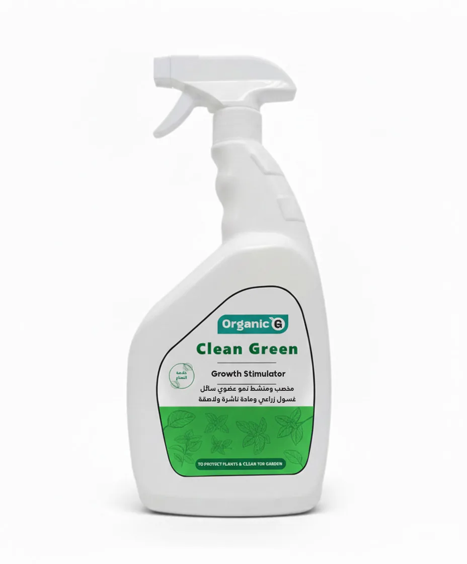 Clean Green Mint Spray