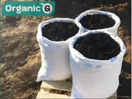 A Comparative Study Between Raw and Treated Organic Fertilizers: Agricultural and Environmental Impacts